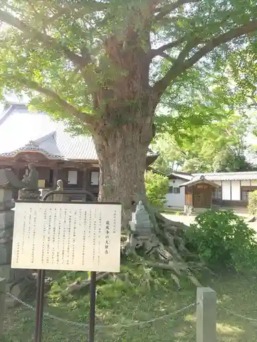 龍蔵寺(埼玉県)