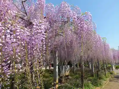 三大神社のその他建物