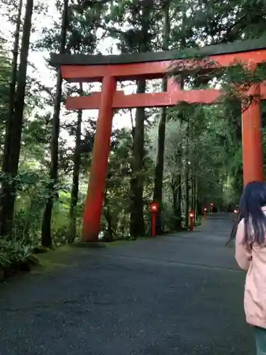 箱根神社の鳥居