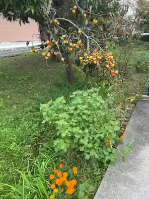 高皇産神社(兵庫県)