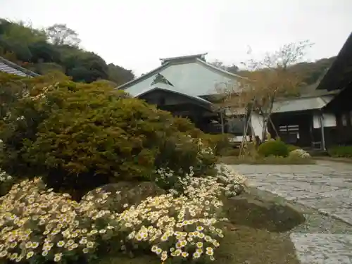 海蔵寺の景色