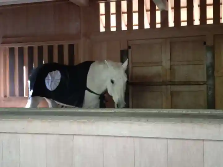 伊勢神宮外宮(豊受大神宮)(三重県)