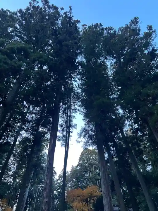 大宮温泉神社(栃木県)
