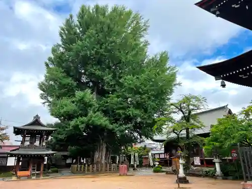 飛騨国分寺のその他建物