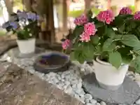 琴似神社(北海道)