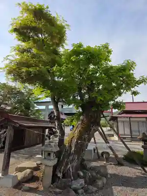 田出宇賀神社(福島県)