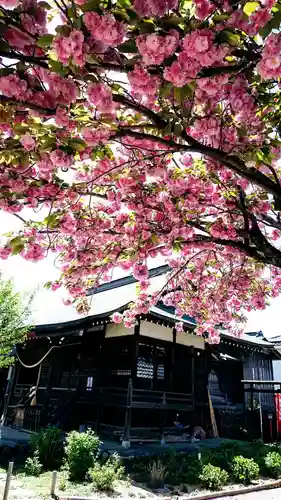 日吉八王子神社の自然