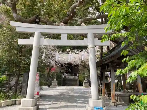 御霊神社の鳥居