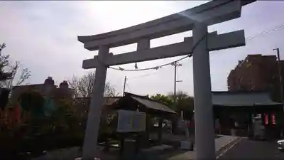 朝日氷川神社の鳥居
