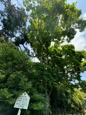 陸奥総社宮の{uncategorized: "未分類", other: "その他", undefined: "問題あり", building: "その他建物", grave: "お墓", sacred_gate: "鳥居", guardian: "狛犬", statue: "像", buddha: "仏像", history: "歴史", nature: "自然", garden: "庭園", animal: "動物", pagoda: "塔", temizu: "手水舎", mountain_gate: "山門・神門", sanctuary: "本殿・本堂", subordinate: "末社・摂社", art: "芸術", scenery: "景色", jizo: "地蔵", ema: "絵馬", goshuin: "御朱印", omikuji: "おみくじ", items: "授与品その他", amulet: "お守り", goshuincho: "御朱印帳", eats: "食事", festival: "お祭り", votive_dance: "神楽", shichigosan: "七五三参", wedding: "結婚式", experience: "体験その他", initially: "初詣", around: "周辺", anti_infection: "感染症対策"}