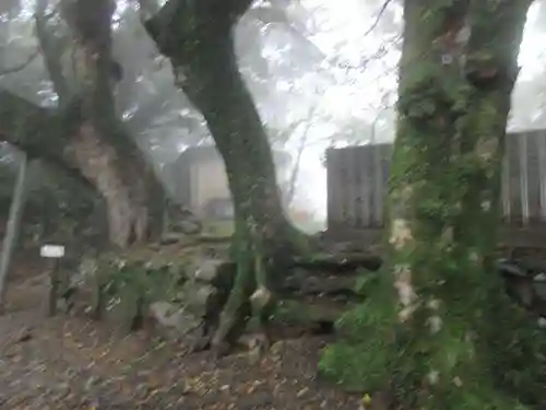 最御崎寺(高知県)