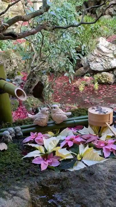 柳谷観音 楊谷寺(京都府)