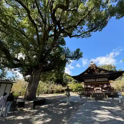平野神社(京都府)
