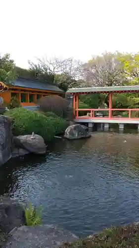 一乗院(身代不動尊) の庭園