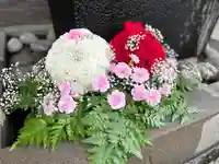 上尾御嶽神社の自然