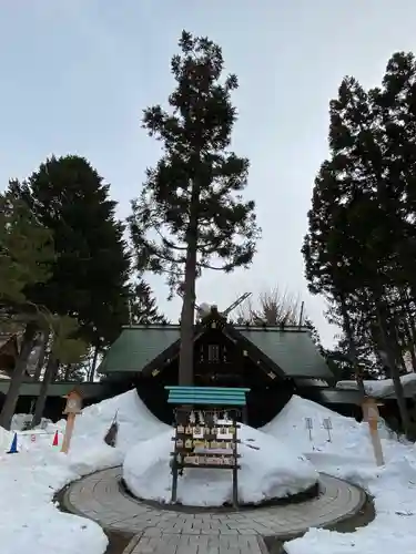 琴似神社の本殿