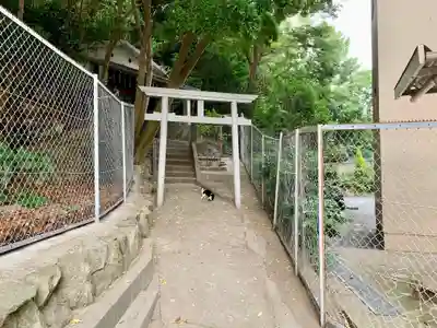 末廣大明神の鳥居