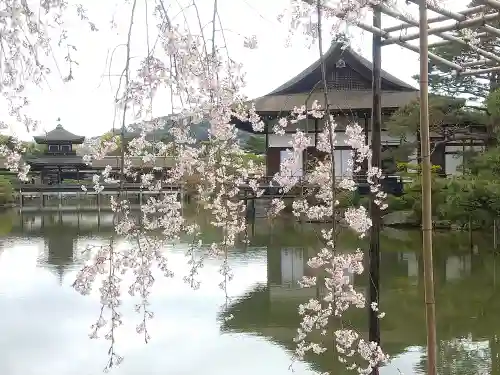 平安神宮の庭園