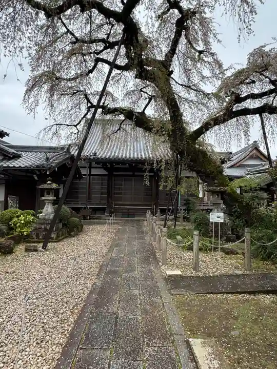 円明寺(愛知県)