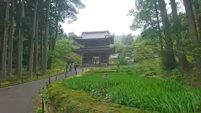 林泉寺(新潟県)