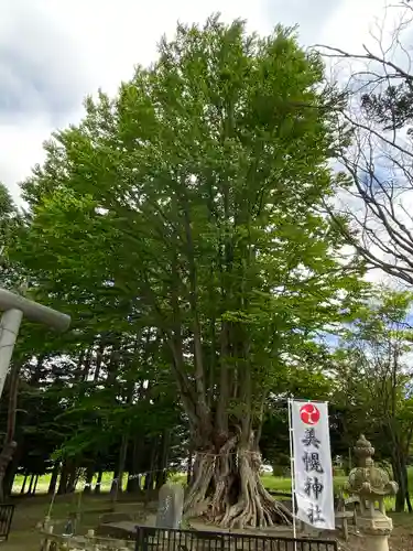 美幌神社の自然