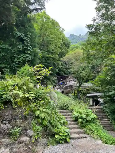 戸隠神社奥社(長野県)