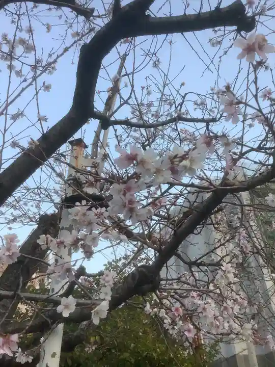 素盞男神社の自然