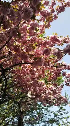 水澤寺(水澤観世音)の自然
