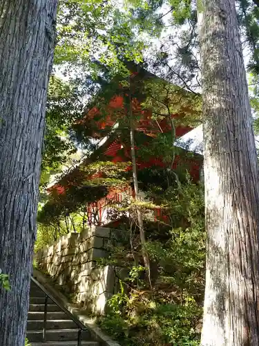 円成寺のその他建物