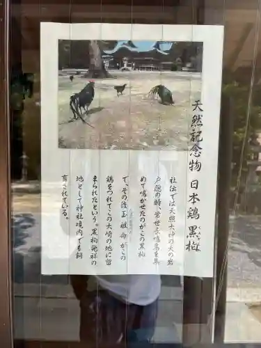 玉祖神社(山口県)