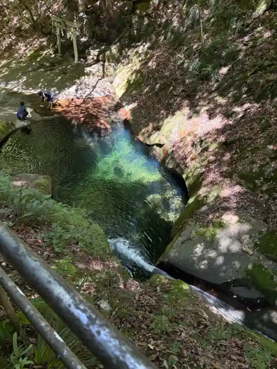 龍鎮神社の御朱印