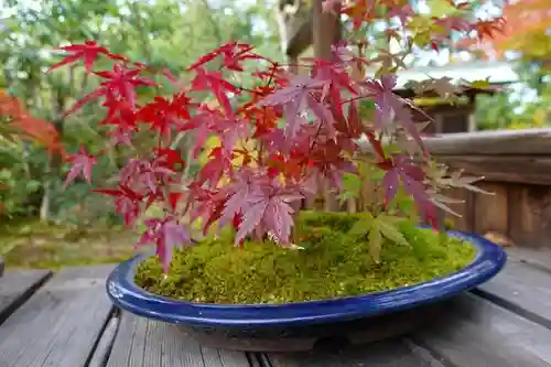 興福寺の庭園