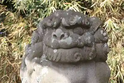 阿久津「田村神社」(郡山市阿久津町)旧社名:伊豆箱根三嶋三社の狛犬