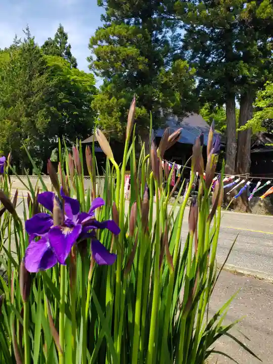 高司神社〜むすびの神の鎮まる社〜(福島県)