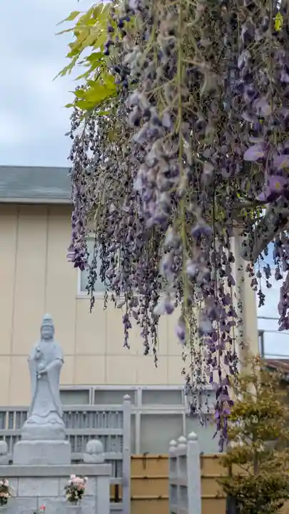 大松禅寺(京都府)