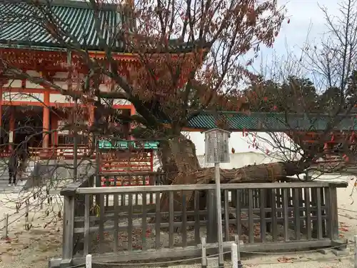 平安神宮の庭園