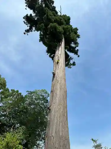 鶴峯八幡宮(千葉県)