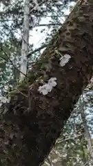 長尾天満宮(京都府)