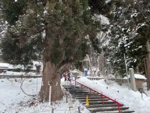 御座石神社の自然