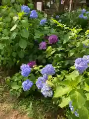 赤城神社の自然