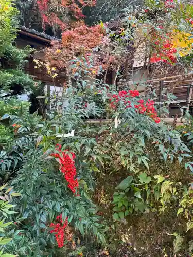 山科聖天 雙林院（双林院）　(京都府)