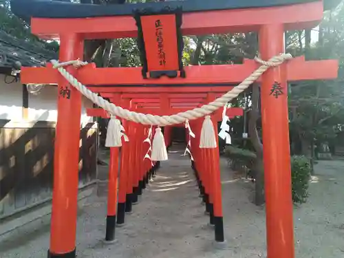 亀之森住吉神社の鳥居