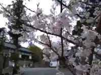 伊太祁曽神社の{uncategorized: "未分類", other: "その他", undefined: "問題あり", building: "その他建物", grave: "お墓", sacred_gate: "鳥居", guardian: "狛犬", statue: "像", buddha: "仏像", history: "歴史", nature: "自然", garden: "庭園", animal: "動物", pagoda: "塔", temizu: "手水舎", mountain_gate: "山門・神門", sanctuary: "本殿・本堂", subordinate: "末社・摂社", art: "芸術", scenery: "景色", jizo: "地蔵", ema: "絵馬", goshuin: "御朱印", omikuji: "おみくじ", items: "授与品その他", amulet: "お守り", goshuincho: "御朱印帳", eats: "食事", festival: "お祭り", votive_dance: "神楽", shichigosan: "七五三参", wedding: "結婚式", experience: "体験その他", initially: "初詣", around: "周辺", anti_infection: "感染症対策"}
