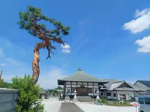 三明院(埼玉県)