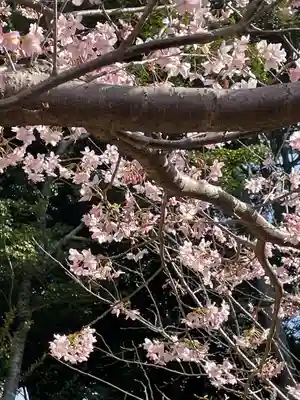 龍雲寺(静岡県)