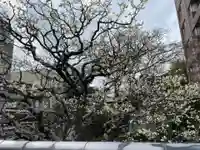 三国稲荷大明神(京都府)