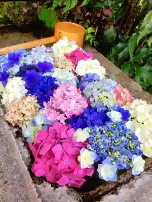 本郷氷川神社(東京都)