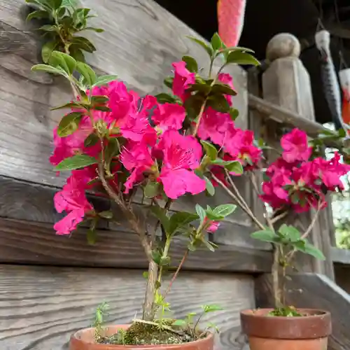 高司神社〜むすびの神の鎮まる社〜(福島県)