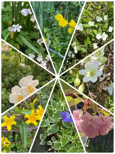 岡部春日神社～👹鬼門よけの🌺花咲く🌺やしろ～(福島県)