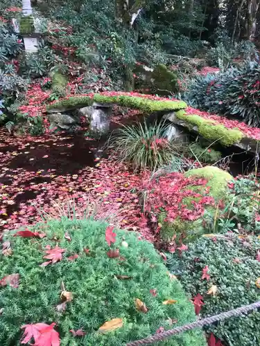 金剛輪寺の庭園